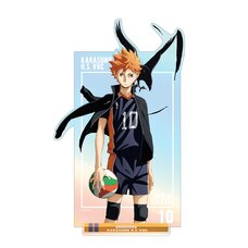 Haikyu!! Large Aurora Acrylic Stand Shoyo Hinata: Challenge and Growth Ver.