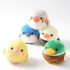 Kotori Tai Waku Waku Bird Plush Collection (Standard)