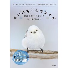 Mainichi Shimaenaga Postcard Book