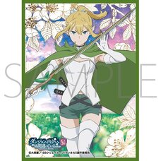 Character Sleeve Collection Matte Series Is It Wrong to Try to Pick Up Girls in a Dungeon? V Ryu Lion No. MT2353