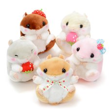 Coroham Coron Ichigo Hamster Plush Collection (Standard)