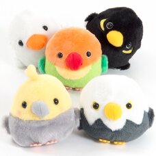 Kotori Tai Soreyuke! Bird Plush Collection (Standard)