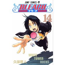 Bleach Vol. 14 (Japanese)