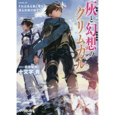 Grimgar of Fantasy and Ash Vol. 12 (Light Novel)