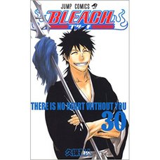 Bleach Vol. 30 (Japanese)