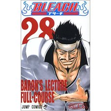 Bleach Vol. 28 (Japanese)