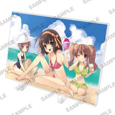 Haruhi Suzumiya Series Acrylic Panel - Haruhi Suzumiya