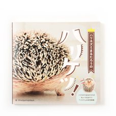 Marutaro the Hedgehog Butt Photo Book