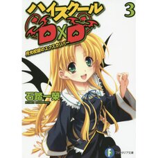 High School DxD Vol. 3 (Light Novel)