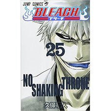 Bleach Vol. 25 (Japanese)