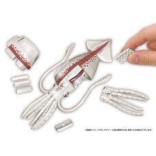 Kaitai Puzzle Squid Puzzle
