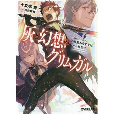 Grimgar of Fantasy and Ash Vol. 14+ (Light Novel)