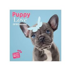 Stdudio Pets Dog 2018 Calendar