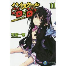 High School DxD Vol. 11 (Light Novel)