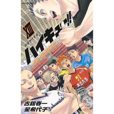 Haikyu!!: Shosetsuban!! Vol. 13 (Light Novel)