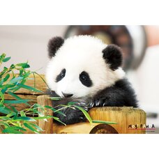Munching Panda Jigsaw Puzzle