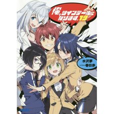 Gonna Be the Twin-Tail!! Vol. 19 (Light Novel)