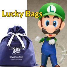 Nintendo Super Mario Brothers Luigi Nendoroid Lucky Bags