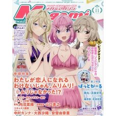 Megami Magazine  November 2025