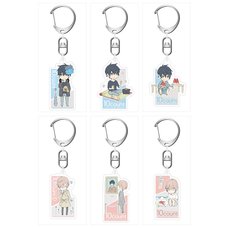 10 Count Acrylic Keychain Charm Collection