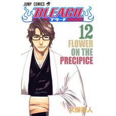 Bleach Vol. 12 (Japanese)