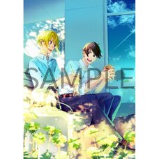 Hirano and Kagiura Aurora Acrylic Panel