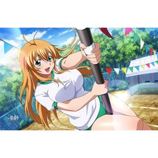 Ikki Tousen Towel Blanket Sonsaku Hakufu: Nessen Boutaoshi Ver.