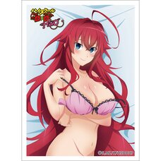High School DxD Hero Sleeve Rias Gremory