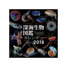 Deep-Sea Organism 2018 Calendar