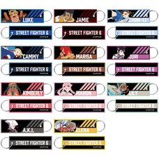 Street Fighter 6 Flight Tag Key Chain