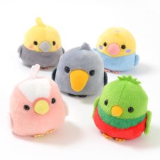 Kotori Tai Ureshii Bird Plush Collection (Standard)