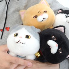 Bucha Neko-san Cat Plush Collection (Standard)