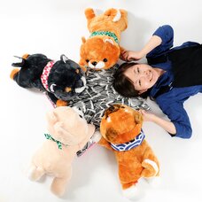 Mameshiba San Kyodai Deshi to Nesoberi Dog Plush Collection (Big)