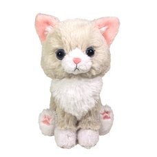 Kitten Plush: Ragdoll