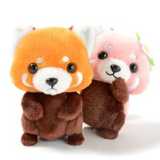 Lesser Panda-chan Baby Red Panda Plush Collection (Standard)