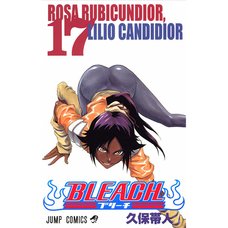 Bleach Vol. 17 (Japanese)