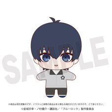 Blue Lock Tabito Karasu 1 Pocket Pass Case (Anime Toy) - HobbySearch Anime  Goods Store