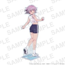 Gridman Universe Big Acrylic Stand Akane Shinjo: Gym Uniform Ver.