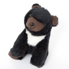 Japanese Animal Plush: Asian Black Bear