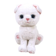 Kitten Plush: Scottish Fold