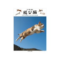 Jump Cat 2018 Calendar