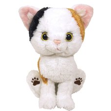 Kitten Plush: Calico