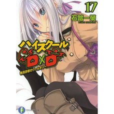High School DxD Vol. 17 (Light Novel)