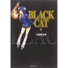 Black Cat Vol. 6