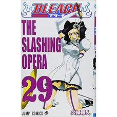 Bleach Vol. 29 (Japanese)