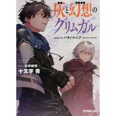 Grimgar of Fantasy and Ash Vol. 14 (Light Novel)