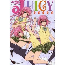 To Love-Ru Darkness Anime Illustration Collection JUICY