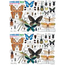 Insects Size Comparison Jigsaw Puzzle