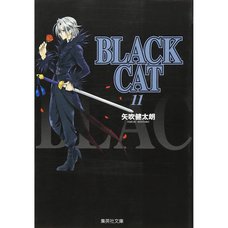 Black Cat Vol. 11