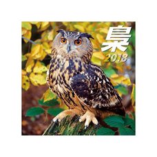 Owl 2018 Calendar